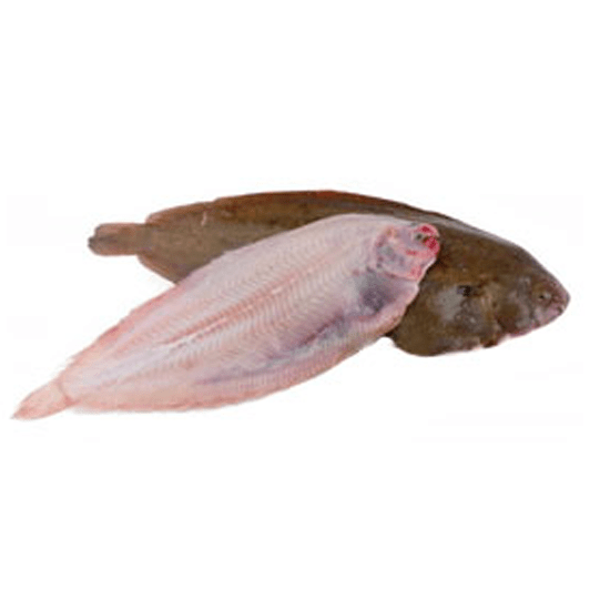 Sole Fish Whole