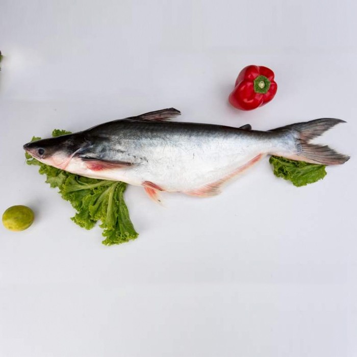 basa-2