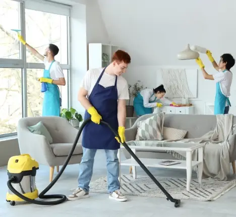 Cleaner
